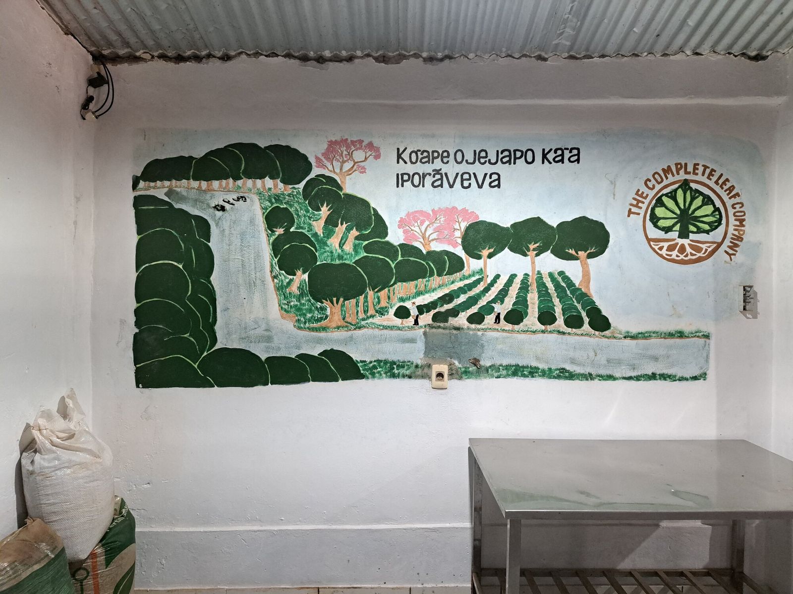 Interior de la planta — Asociación Virgen del Rosario